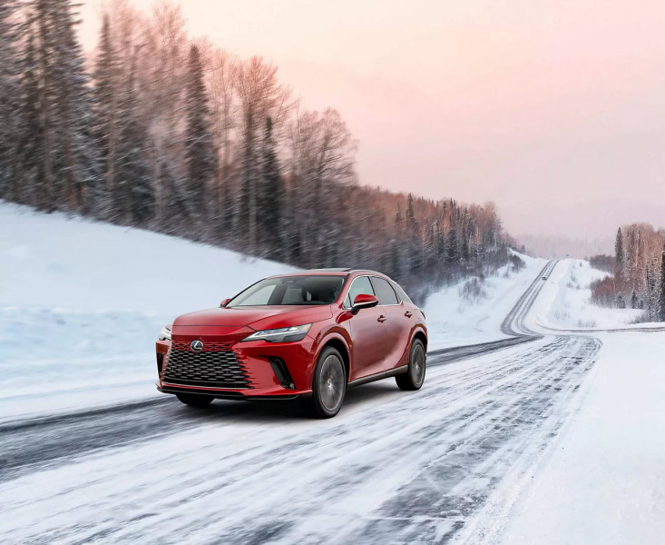 Zimní servisní akce Lexus