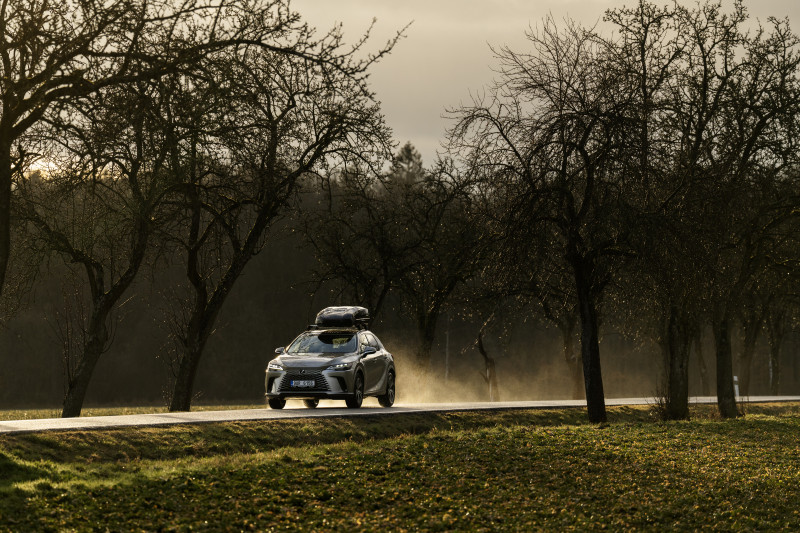 Jarní servisní akce Lexus