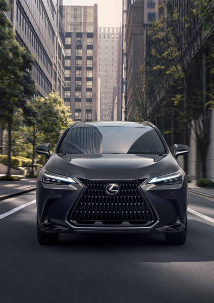 Zimní servisní kampaň - Lexus